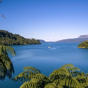 From Tauranga: Rotorua Highlights Tour