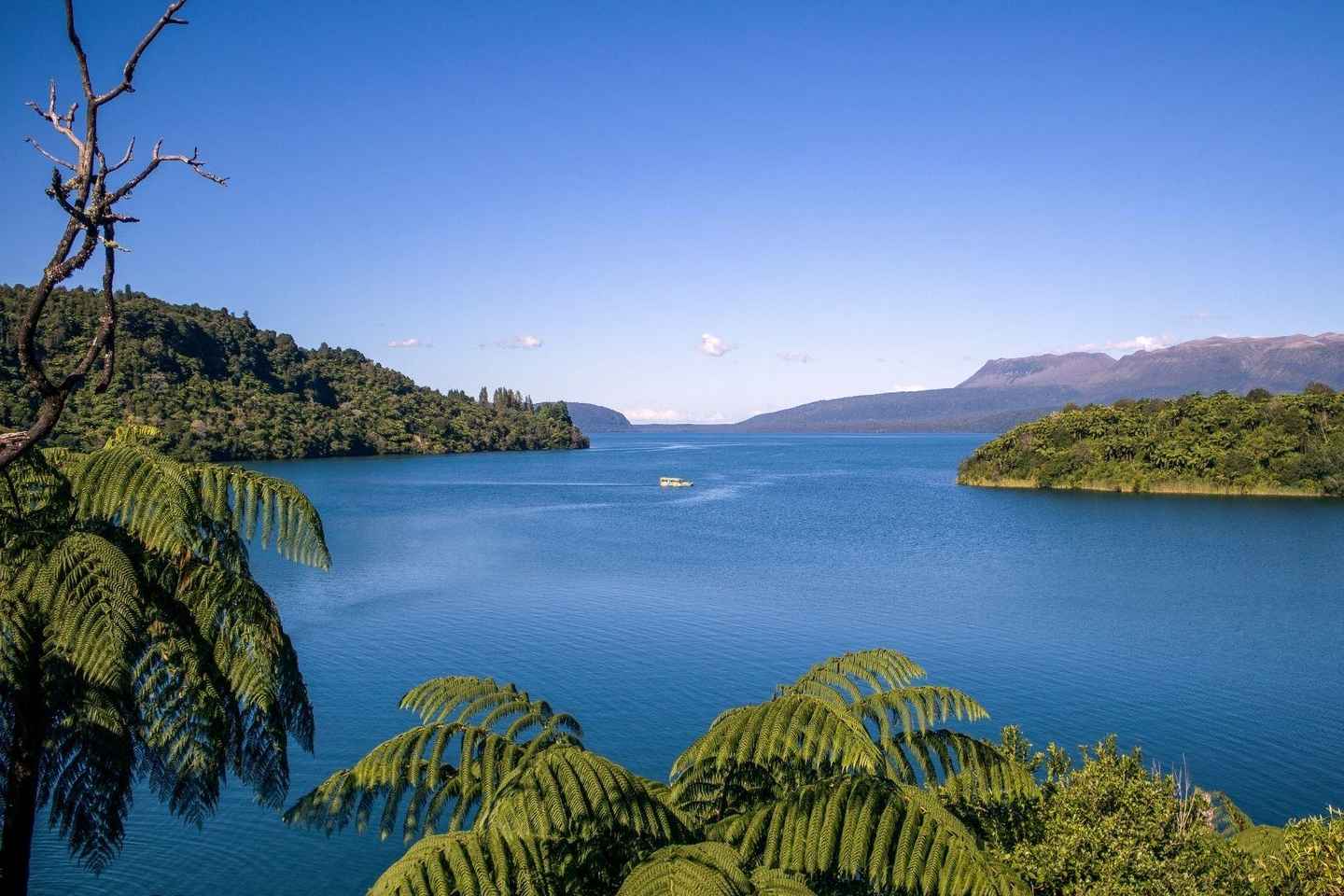 From Tauranga: Rotorua Highlights Tour - From Tauranga: Rotorua Highlights Tour