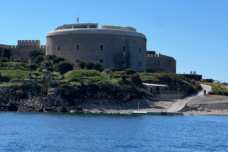 Azure Paradise: Blue Cave och Kotor Bay Boat Tour