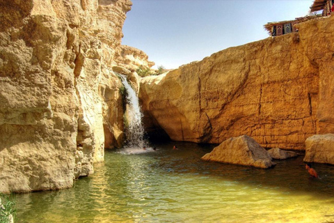 De Tunis: 2 dias de tour no deserto com noturno em tenda beduína