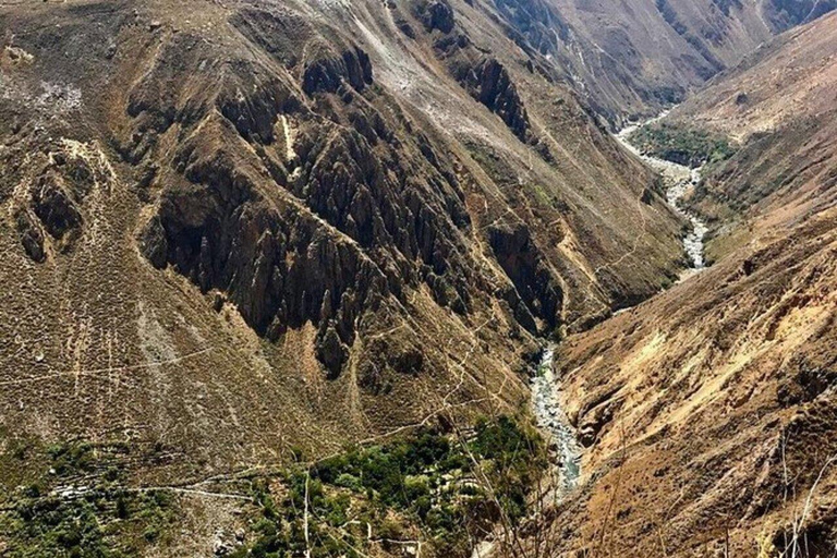 AREQUIPA: COLCA CANYON TREKKING 2 DAYS AND 1 NIGHT