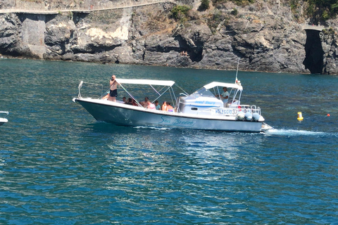 Exklusiv Cinque Terre dagstur med färja med stopp i Pisa