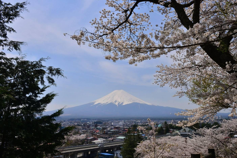 Da Tokyo: Monte Fuji Tour di un giorno personalizzato privatoTour privato del Monte Fuji completo e personalizzato con servizio di prelievo in hotel