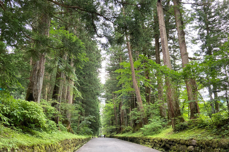 Nikko: DIE TOUR vom NIKKO-STATION (LOKALER GUIDE)