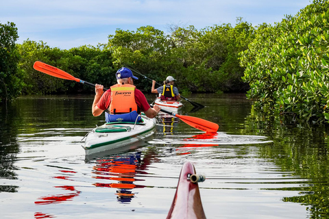 Sea Kayak Tour - Mangrove Safari