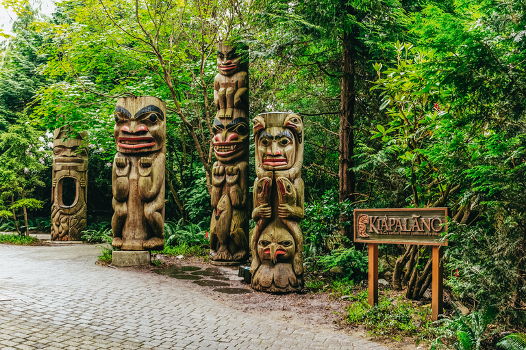 Sightseeing i Vancouver och Capilano Suspension Bridge: HalvdagJulrundtur: Ljusen i Capilano Canyon