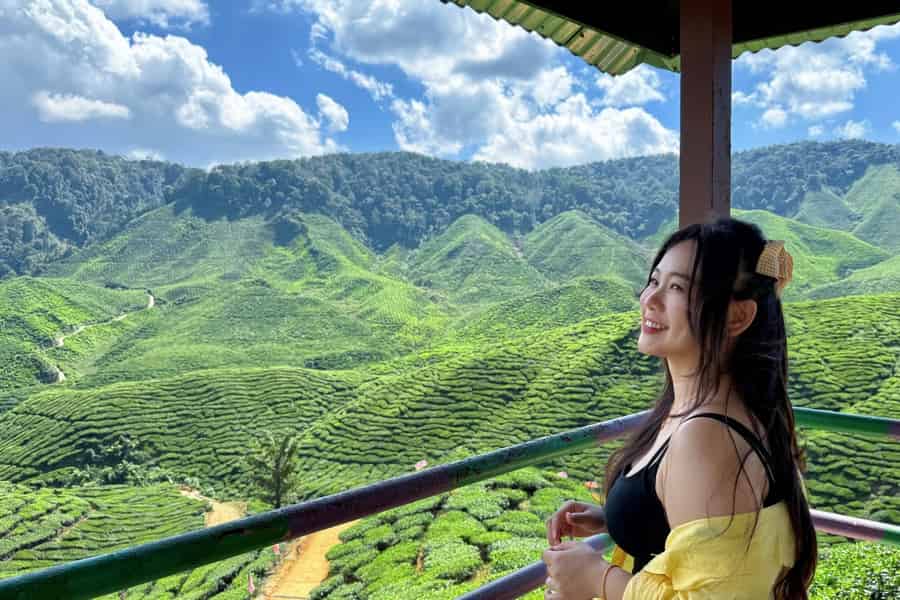 Ab Kuala Lumpur: Tagestour in die Cameron Highlands mit Mittagessen. Foto: GetYourGuide
