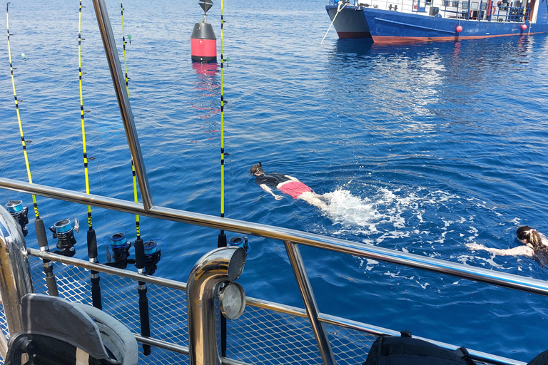 Larnaca: Zenobia Shipwreck Cruise Simning och snorkling