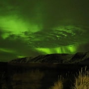 Akureyri: aurora boreal, ballenas y tour por la laguna durante 4 días