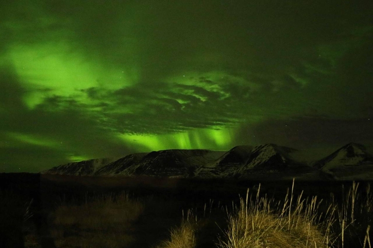 Akureyri: 3-Day Northern Lights, Whales, &amp; Lagoon Tour