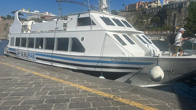Capri: Blue Cruise with Guide from Sorrento, C.Stabia,Seiano