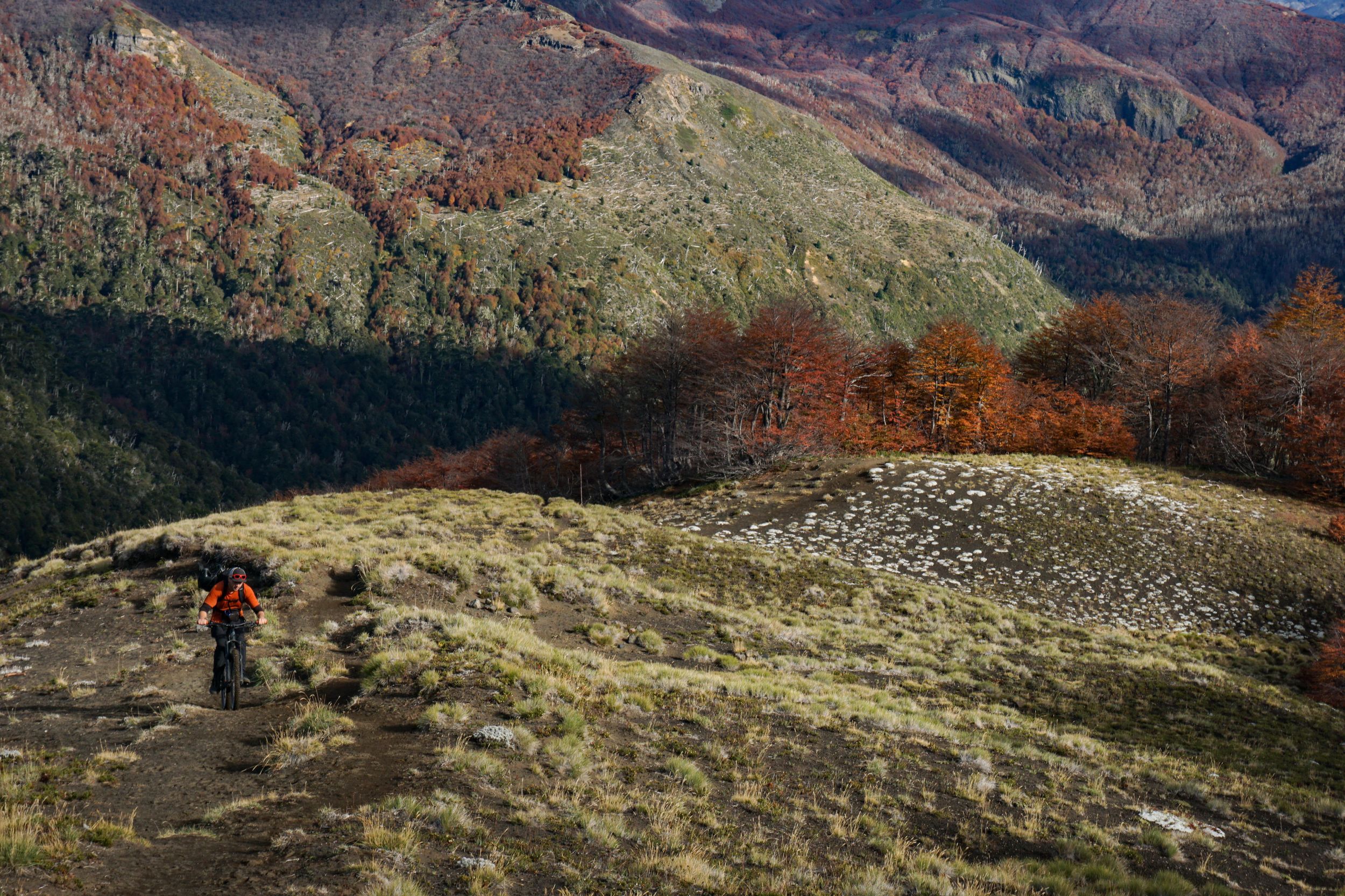 Pucón: Mountainbiken auf vulkanischen Trails