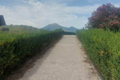 Pompeii: Complete 2.5-Hour Tour with an Official Guide and a Souvenir Photo.