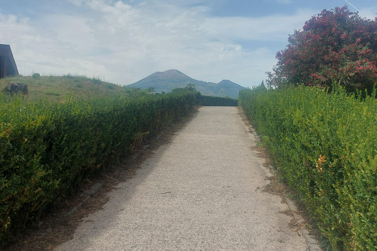 Pompeii: Complete 2.5-Hour Tour with an Official Guide and a Souvenir Photo.
