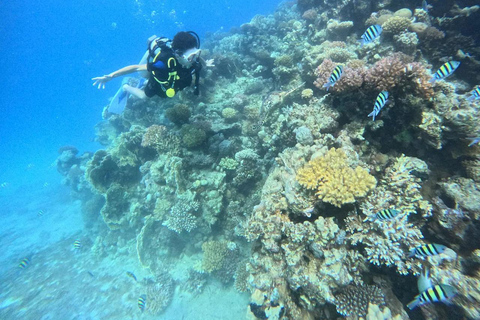 Sahl Hasheesh Elite Beach Dive & Coral Reef Experience
