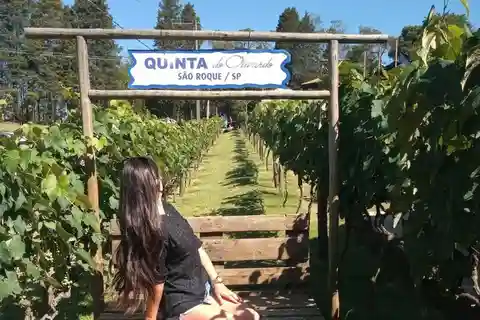 São Roque: Visita o vinho de carro com guias locais