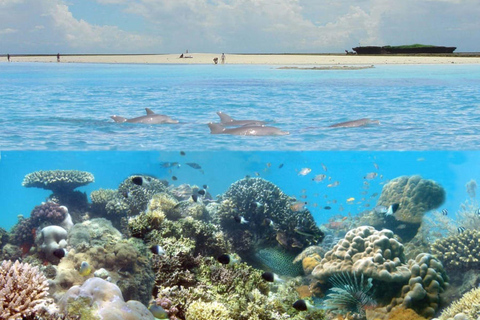 迪亚尼：Kisite 私人游船之旅（含浮潜和午餐）团体加入浮潜活动