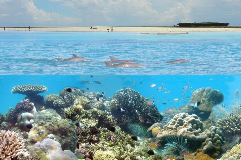 迪亚尼：Kisite 私人游船之旅（含浮潜和午餐）团体加入浮潜活动