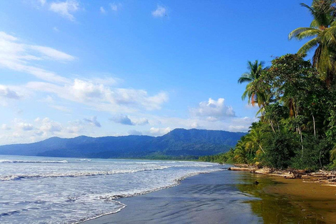 Costa Rica: Tour particular para observação de golfinhos e baleias em Uvita