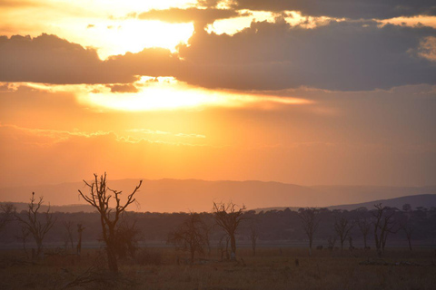 7 jours Confort Safari milieu de gamme 3 nuits Serengeti