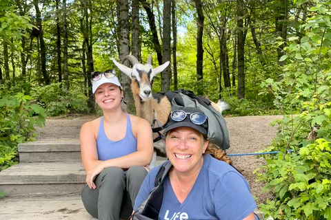 Quebec City: Guided Goat Hike & Beaver Dam Visit with Picnic