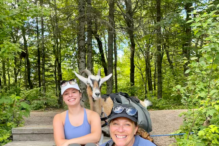 Quebec City: Guided Goat Hike & Beaver Dam Visit with Picnic