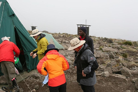 Kilimanjaro: 7-Day Marangu Route Climb with Guide