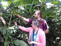 Materuni Waterfall and Coffee Tour - Housity