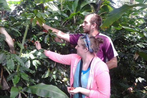 Arusha : excursion d&#039;une journée à Cofee, aux chutes de Materuni et aux sources d&#039;eau chaude de Chemka