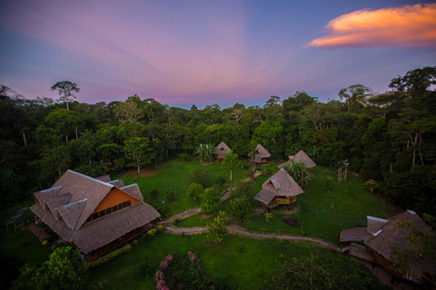 From Puerto Maldonado: Tambopata National Reserve 2-Day Tour