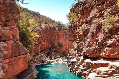 Agadir: Paradise Valley & Imouzzer Waterfall Day Tour