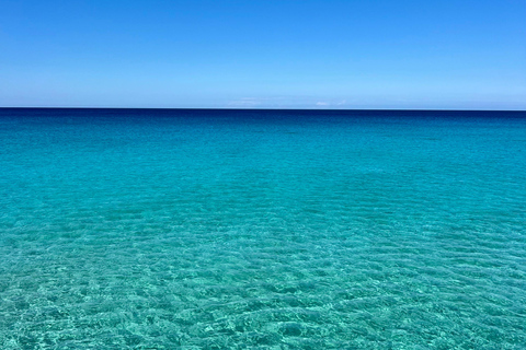 Formentera: Hidden Spots Tour in Land Rover Defender Formentera: Hidden Spots Tour in a Land Rover Defender