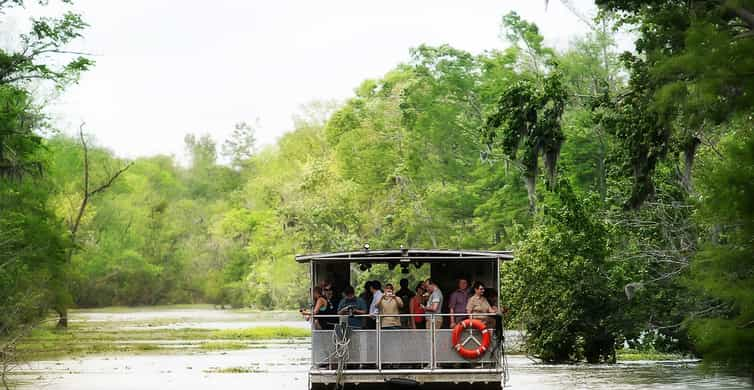 New Orleans Swamp & Bayou Boat Tour | GetYourGuide