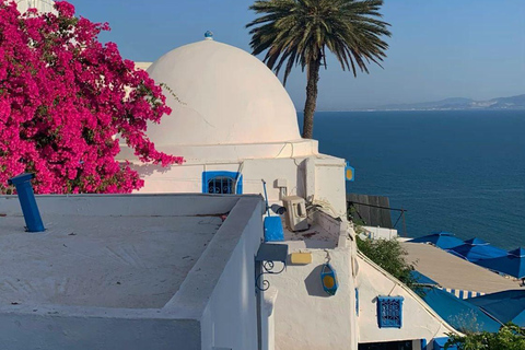 Private VIP Tour: Carthage & Medina & Sidi Bou Said PickUp From : Monastir ( Any Hotel & Airbnb )