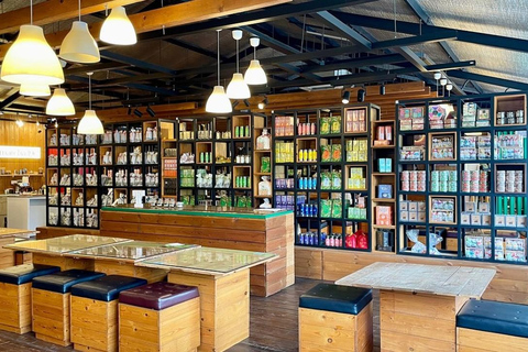 Kandy: Royal Botanical Garden & Tea Factory Tour Pick & Drop Without Entry Ticket in Royal Botanical Garden
