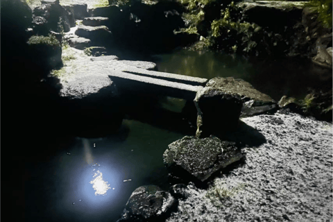 From Osaka or Kyoto: Hakodateyama & Okuibuki Ski 2-Day Trip