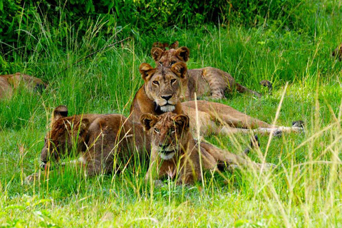 3 Day Refreshing Your Mind in Queen Elizabeth NP, Lake Mburo3 Days Refreshing Your Mind in Queen Elizabeth NP