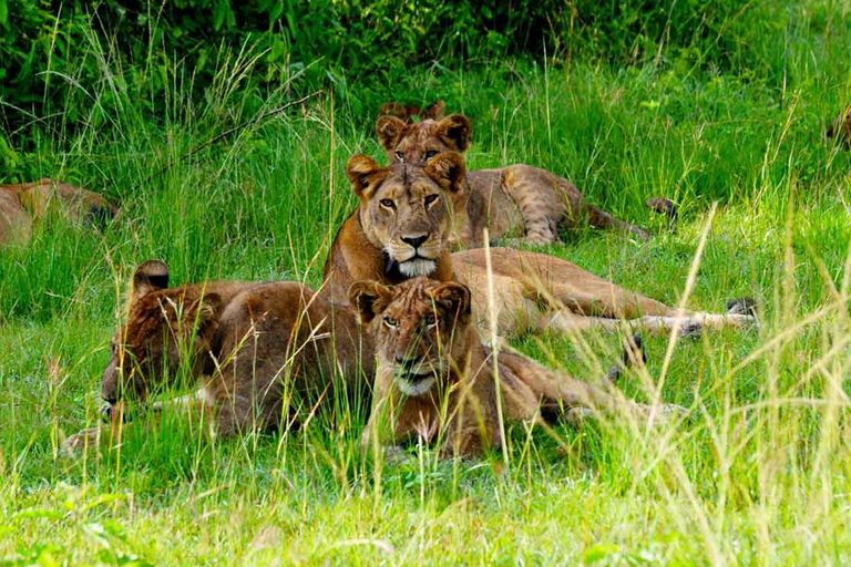 3 Day Refreshing Your Mind in Queen Elizabeth NP, Lake Mburo3 Days Refreshing Your Mind in Queen Elizabeth NP