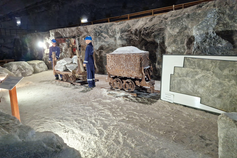 From Brasov: Slanic Salt Mine & Cheia Monastery Private Trip