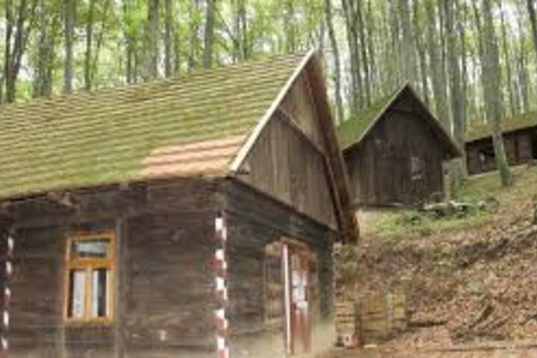 萨格勒布：普利特维采湖、战争历史和野生动物之旅