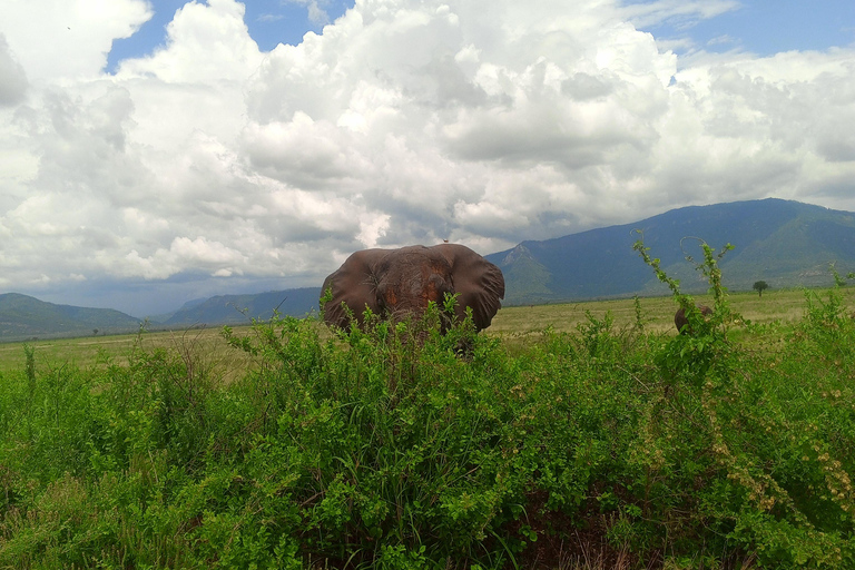 5DAYS SAFARI AMBOSELI,TSAVO WEST AND TSAVO EAST FROM NAIROBI