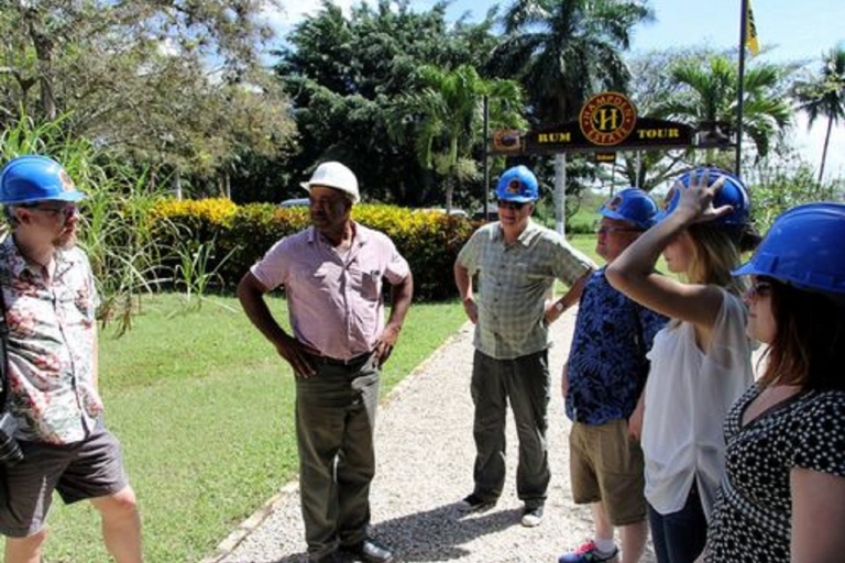 Tour Privado del Ron Hampden Estate desde Montego Bay