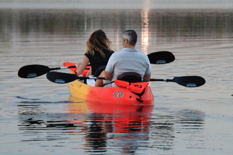 Orlando: Sunset guided kayaking tour