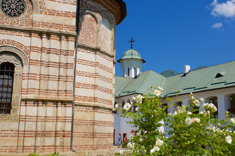 Von Bukarest aus: Entdecke das mittelalterliche Transsilvanien in einer 3-Tages-Tour