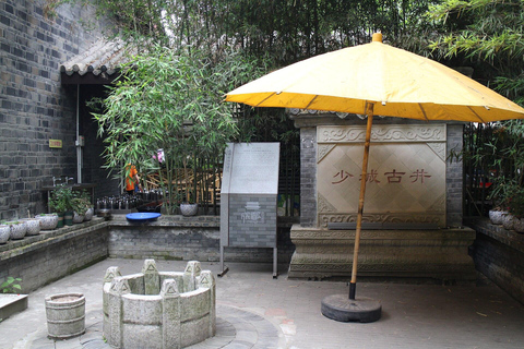 Chengdu: Tai Chi & Kung Fu Class with a Master
