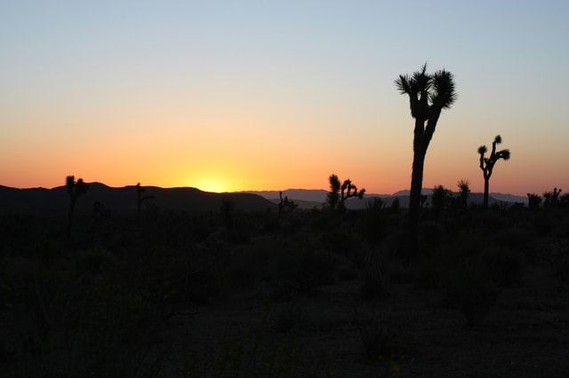 Las Vegas: Death Valley Sunset and Stargazing Tour