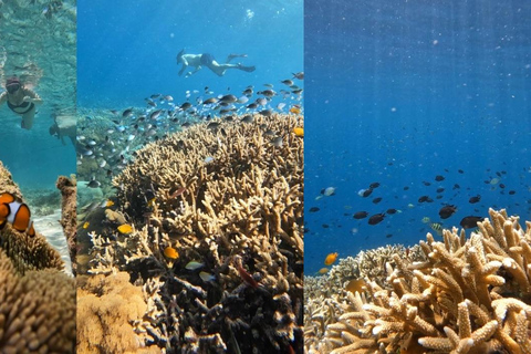 Secret Gili's Lombok: Gili Kondo, Kapal, Petagan, Bidara Start From: Senggigi,Mangsit,Mataram,Airport Lombok