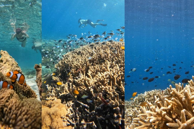 Secret Gili's Lombok: Gili Kondo, Kapal, Petagan, Bidara Start From: Senggigi,Mangsit,Mataram,Airport Lombok