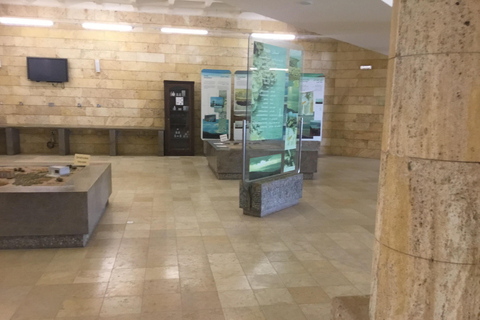 Amman: Ma’in Hot Springs and Dead Sea Panorama