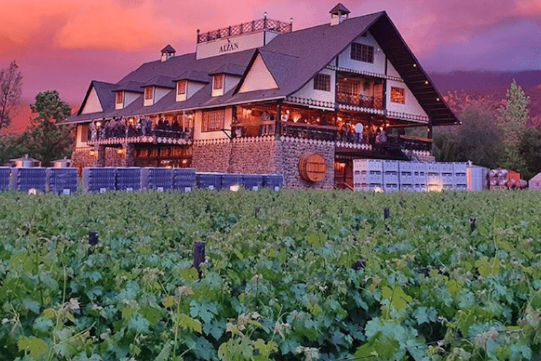 Alyan Family sunset winery Alyan Family